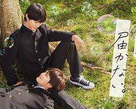 遵义seo排名优化